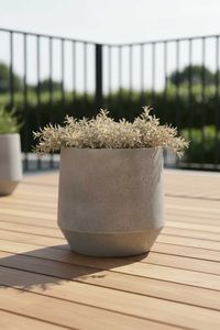 Pflanzkübel Blumenkübel Fiberglas NEXORA Vesuvgrau