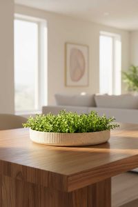 Pflanzschale Dekoschale Fiberglas ORYVEN Arbanerelief Pflanzschale Dekoschale Fiberglas ORYVEN Arbanerelief