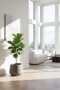 Pflanztopf Blumentopf Fiberglas GIRAR Vesuvgrau