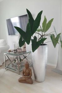 Exklusiver Pflanzkübel Fiberglas "City", Silber Hochglanz Exklusiver Pflanzkübel Fiberglas "City", Silber Hochglanz