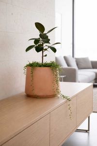 Blumentopf Fiberglas TROPICO Vulkanapricot