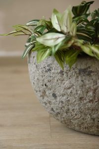 Pflanzschale Blumentopf Fiberzement BAJEL Erdgrau