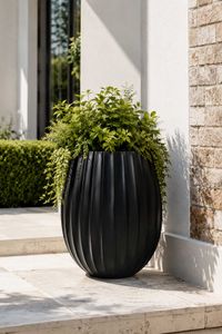 Blumentopf BALAO ARC Fiberglas 39x50 cm Schwarz Blumentopf BALAO ARC Fiberglas 39x50 cm Schwarz