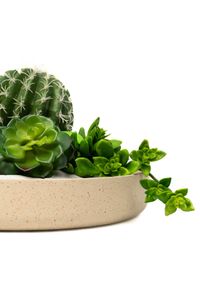 Pflanzschale Dekoschale Fiberglas ORYVEN Arbanecreme