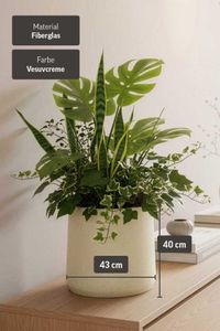 Blumentopf Pflanzkübel Fiberglas VEKRA Vesuvcreme