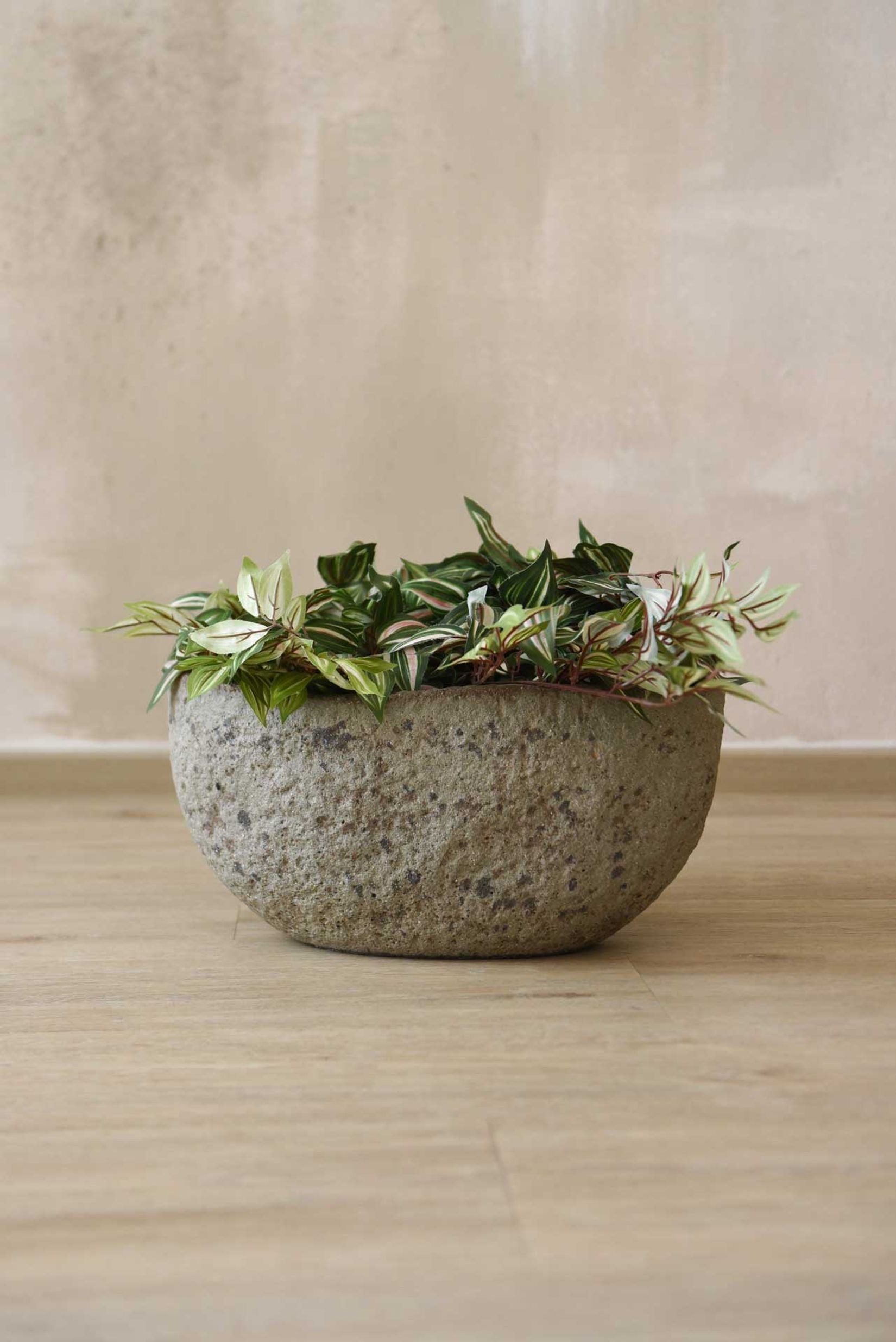 Pflanzschale Blumentopf Fiberzement BAJEL Erdgrau