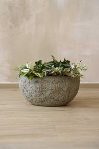 Pflanzschale Blumentopf Fiberzement BAJEL Erdgrau