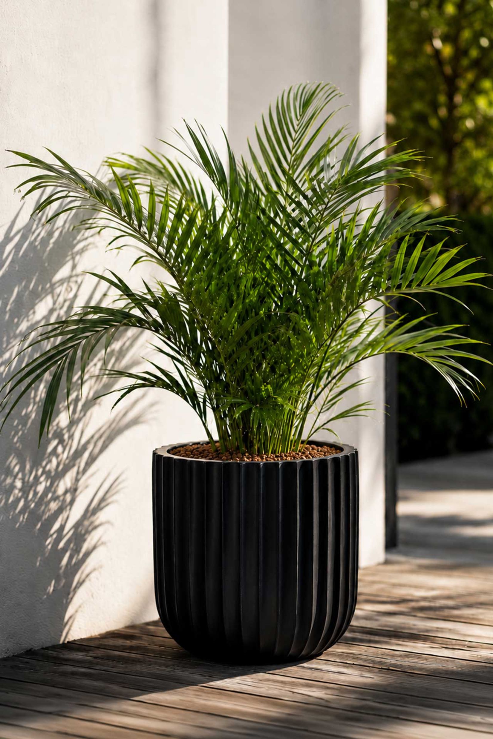 Blumentopf CHICO ARC Fiberglas 40x40 cm Schwarz