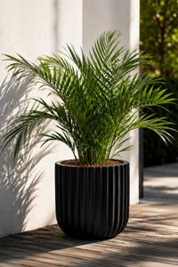 Blumentopf CHICO ARC Fiberglas 40x40 cm Schwarz