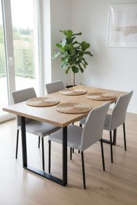 4er Set Tischset Platzset Set Wasserhyazinthe "Ilana", Natur