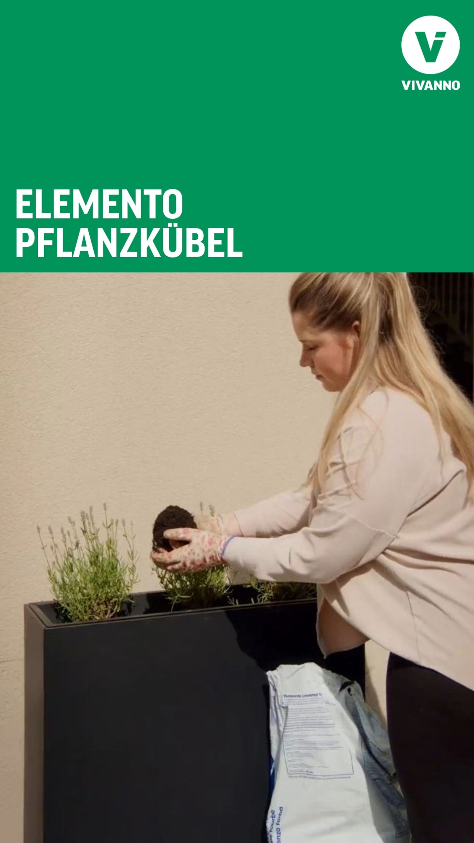 Elemento Pflanzkübel bepflanzen Thumbnail Youtube