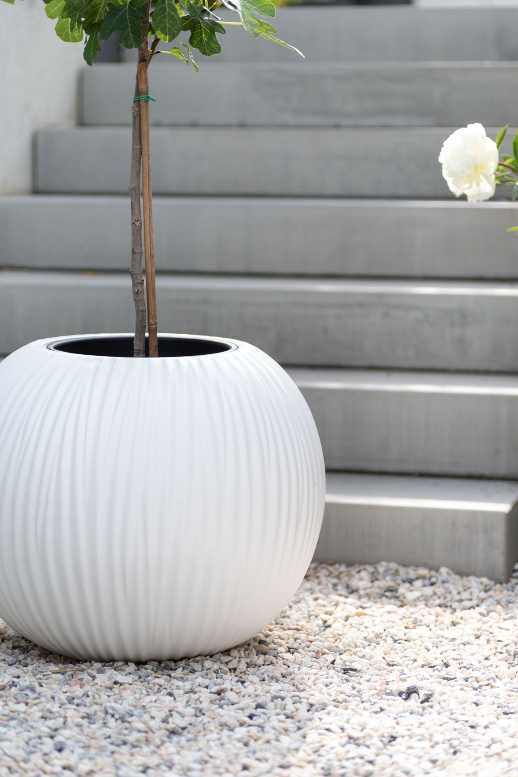 Pflanzkübel Blumenkübel Fiberglas VITRO weiß matt Pflanzkübel Blumenkübel Fiberglas VITRO weiß matt