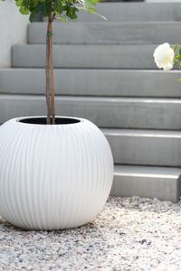 Pflanzkübel Blumenkübel Fiberglas VITRO weiß matt Pflanzkübel Blumenkübel Fiberglas VITRO weiß matt