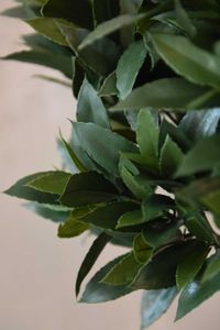 Kunstpflanze Lorbeer Baum im Topf LAURUS