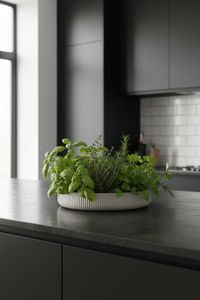 Pflanzschale Dekoschale Fiberglas ORYVEN Skandigrau Pflanzschale Dekoschale Fiberglas ORYVEN Skandigrau