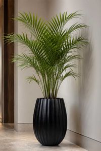 Blumentopf BALAO ARC Fiberglas 39x50 cm Schwarz Blumentopf BALAO ARC Fiberglas 39x50 cm Schwarz