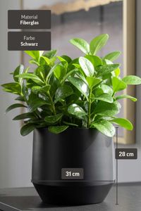 Blumentopf Pflanztopf Fiberglas NEXORA Schwarz