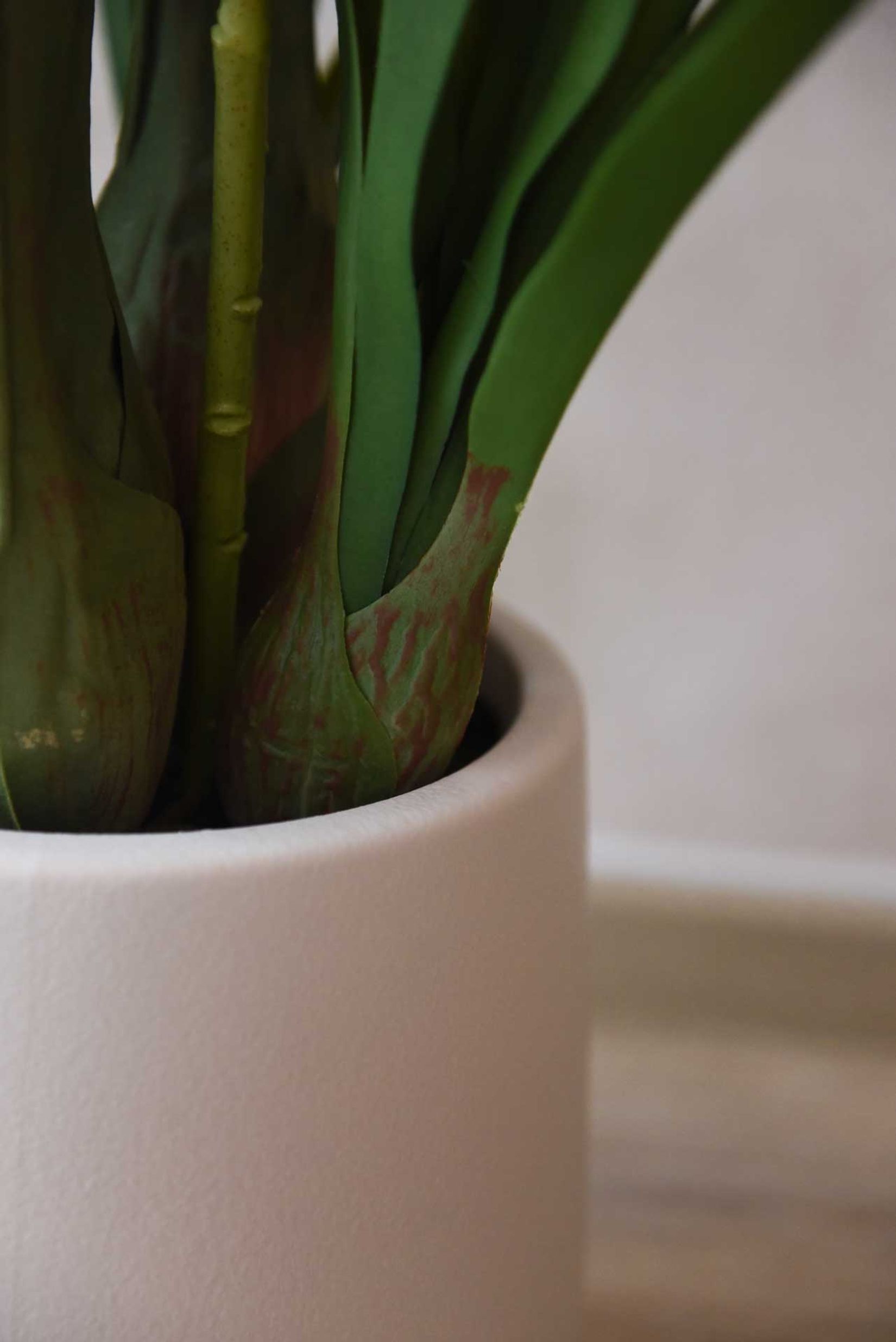 Kunstpflanze Orchidee Cymbidium im cremefarbenen Dekotopf ORCHIDEA rose