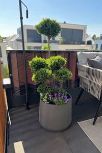 Blumentopf Pflanztopf Fiberglas TROPICO Anthrazit