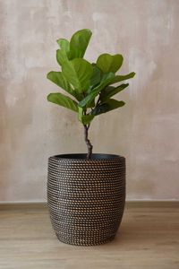 Pflanzkübel Rattan MASTELLO Schwarz Natur