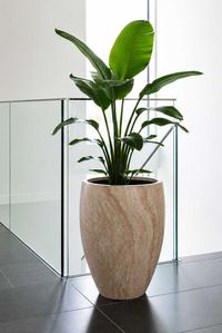 Pflanzkübel OVOLO Fiberglas 42x55 cm Beige