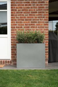 Pflanzkübel Sichtschutz Fiberglas Graphitgrau ELEMENTO