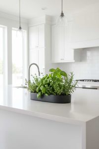 Pflanzschale Dekoschale Fiberglas SOLENA Anthrazit Pflanzschale Dekoschale Fiberglas SOLENA Anthrazit