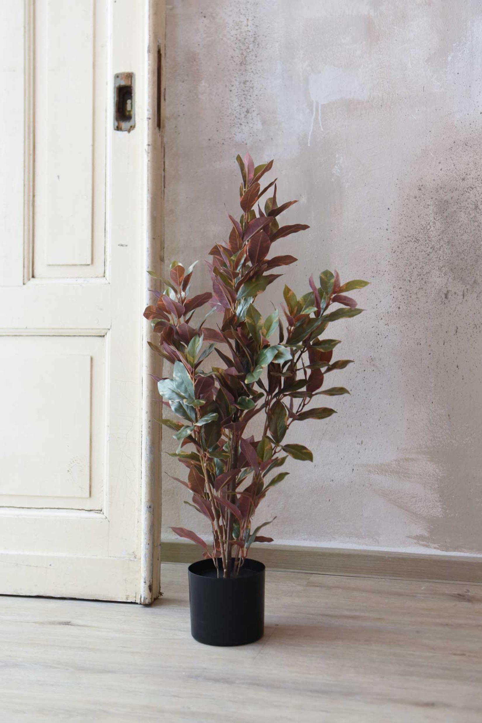 Kunstpflanze roter Ficus Carpensia GOMMA Kunstpflanze roter Ficus Carpensia GOMMA