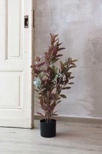 Kunstpflanze roter Ficus Carpensia GOMMA