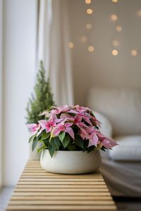 Pflanzschale Dekoschale PERA rund Fiberglas Creme