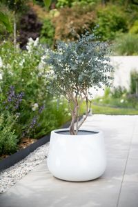 Blumentopf Pflanztopf Fiberglas GIRAR Weiß Matt