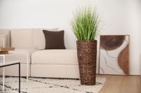 Pflanzkübel Blumenkübel Wasserhyazinthe "Classic Round", Braun