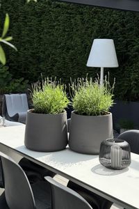 Blumentopf Pflanztopf Fiberglas TROPICO Anthrazit