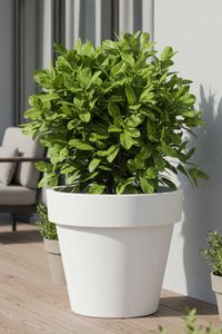 Blumentopf Pflanzkübel aus Kunststoff Rund Weiß LEVANTA