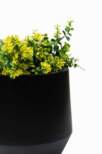 Blumentopf Pflanztopf Fiberglas NEXORA Schwarz