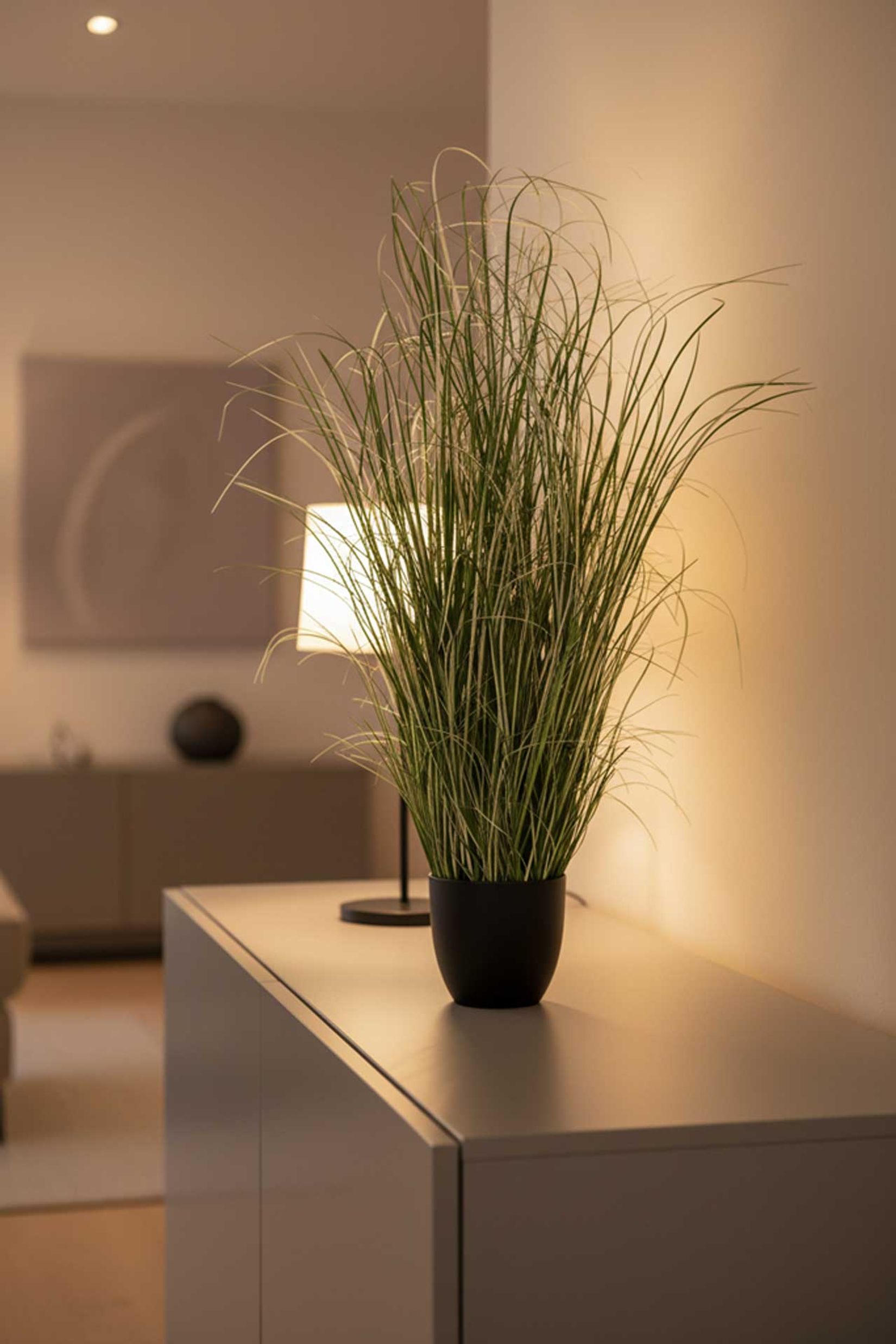 Kunstpflanze Zebragras in schwarzem Kunststofftopf GREVY Kunstpflanze Zebragras in schwarzem Kunststofftopf GREVY