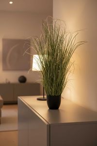 Kunstpflanze Zebragras in schwarzem Kunststofftopf GREVY Kunstpflanze Zebragras in schwarzem Kunststofftopf GREVY