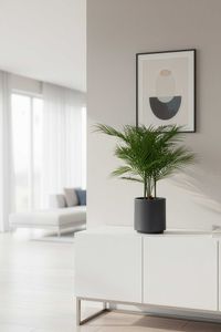 Kunstpflanze im anthrazitfarbenen Topf Kunststoff AREKA