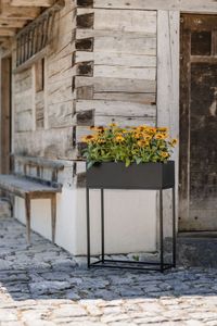 Dekobox Pflanzbox pulverb. Stahlblech "Style", Schwarz Matt