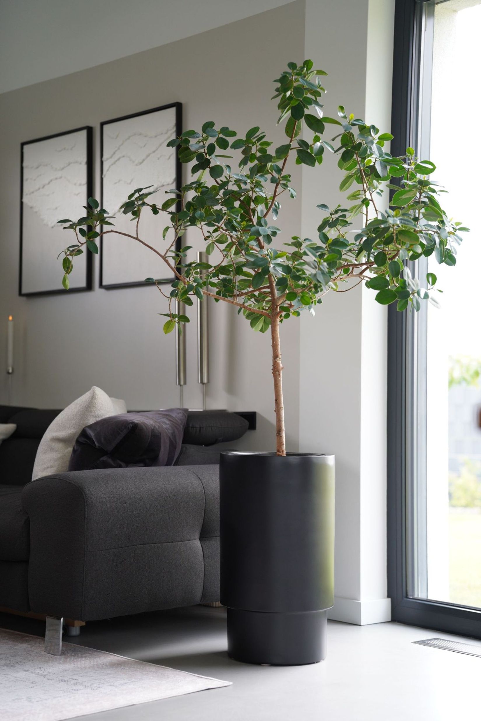 Blumentopf Pflanzkübel Fiberglas ESCADA Schwarz Matt