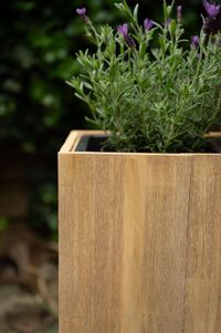 Pflanzkübel Raumteiler Sichtschutz Holz ELEMENTO Braun