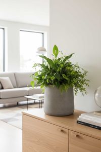 Blumentopf Pflanzkübel Fiberglas VEKRA Vesuvgrau