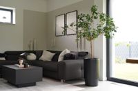 Blumentopf Pflanzkübel Fiberglas ESCADA Schwarz Matt Blumentopf Pflanzkübel Fiberglas ESCADA Schwarz Matt