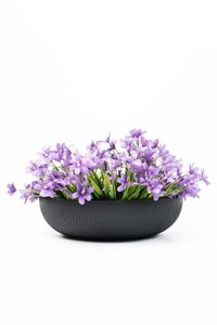 Pflanzschale Blumenschale Fiberglas PLANA Skandianthrazit