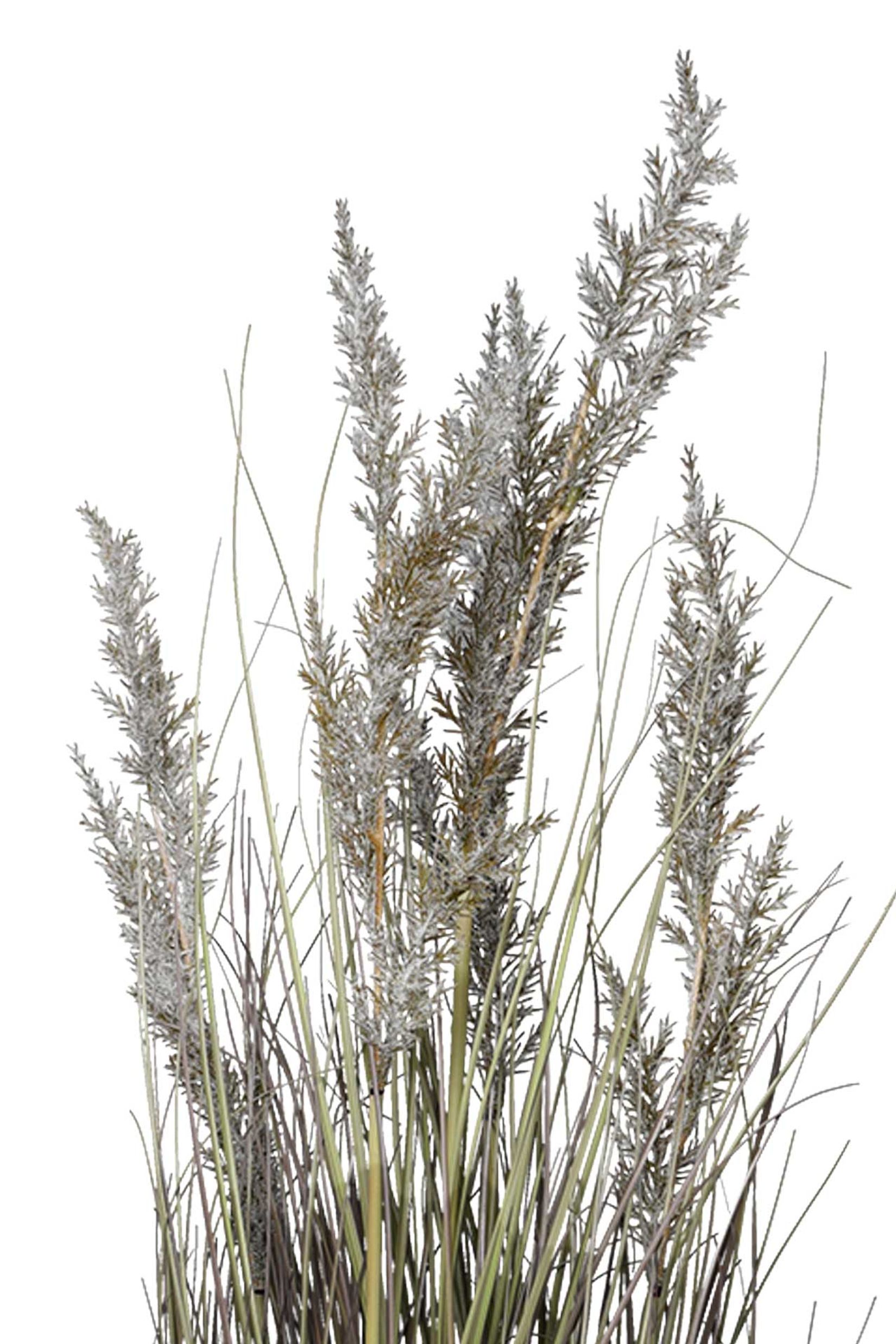 Kunstpflanze Kunstgras Kunststoff SEGGE Kunstpflanze Kunstgras Kunststoff SEGGE
