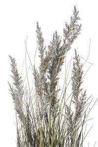 Kunstpflanze Kunstgras Kunststoff SEGGE Kunstpflanze Kunstgras Kunststoff SEGGE