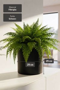 Blumentopf NEW RONDO Fiberglas 29x29 cm Schwarz