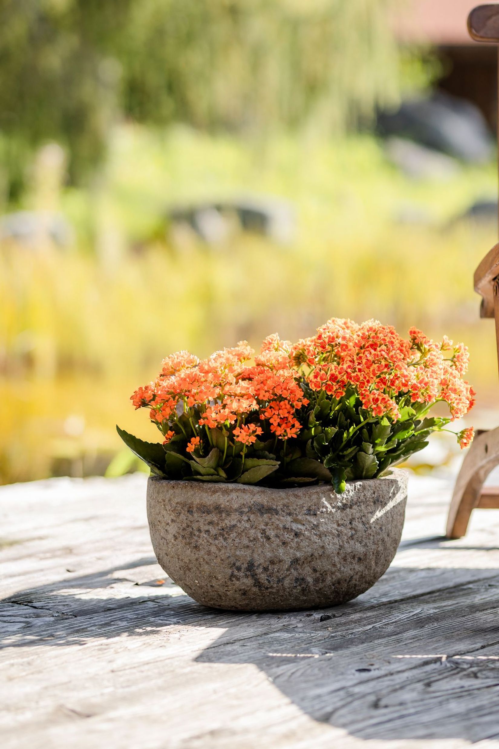 Pflanzschale Blumentopf Fiberzement BAJEL Erdgrau