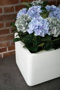 Pflanzkübel Blumenkübel Fiberglas Weiß Matt MAXI ROUND Pflanzkübel Blumenkübel Fiberglas Weiß Matt MAXI ROUND