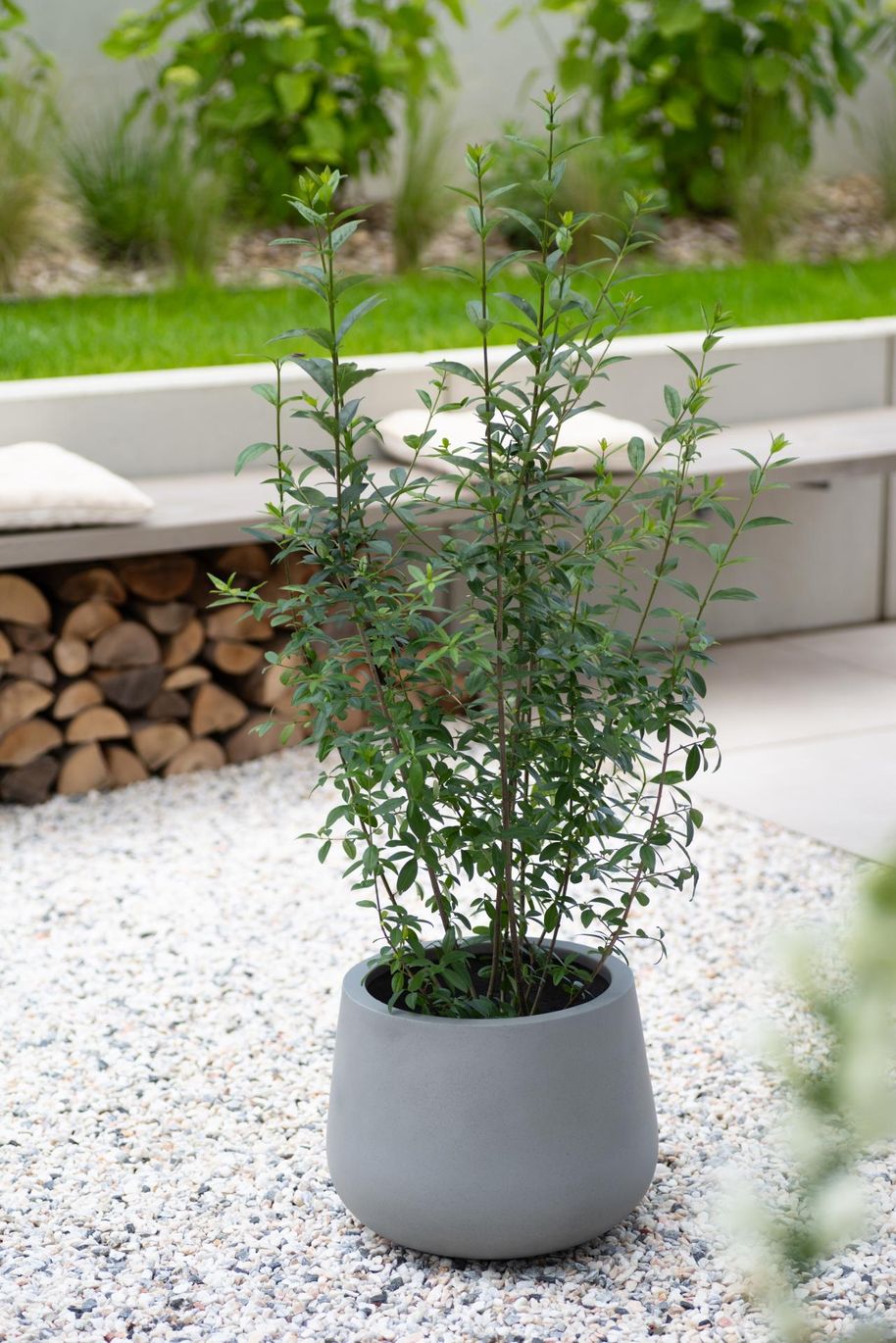 Blumenkübel Blumentopf Beton Optik Eckig Hoch Mit Einsatz 9 Größen In Anthrazit - Foto 11